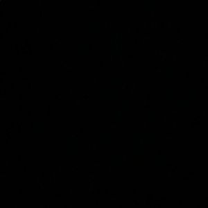 Meet your Posher, Ronald